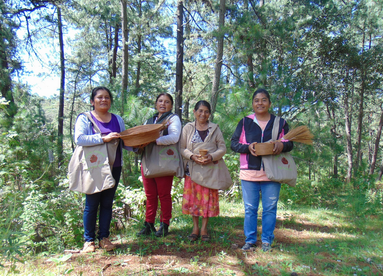 Ita Nuyuxe: mujeres mixtecas crean hermosos objetos a partir de las hojas de pino