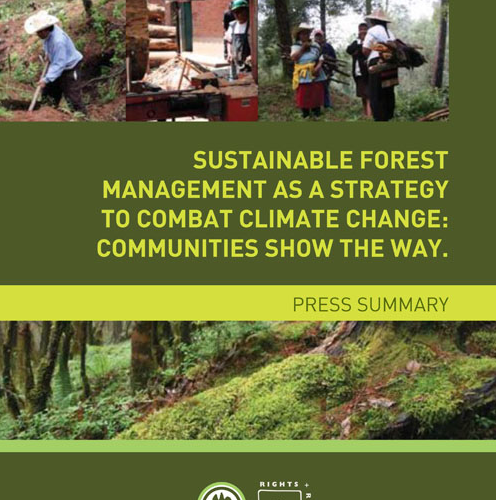Sustainable Forest Management As A Strategy To Combat Climate Change, Lessons From Mexican Communities