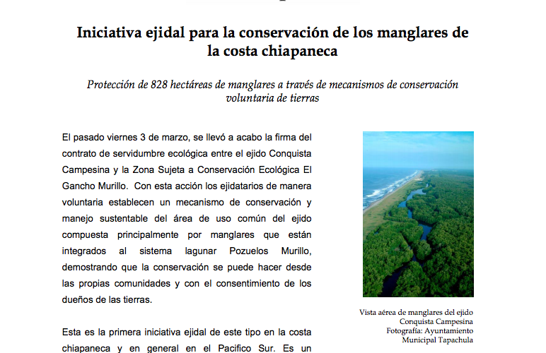 Iniciativa ejidal para la conservación de los manglares de la costa chiapaneca