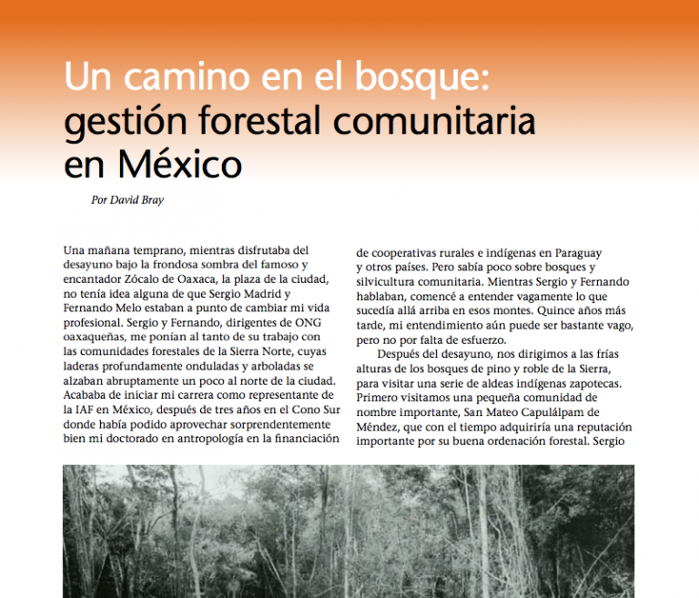 Un camino en el bosque: gestión forestal comunitaria en México