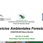 Servicios Ambientales Forestales