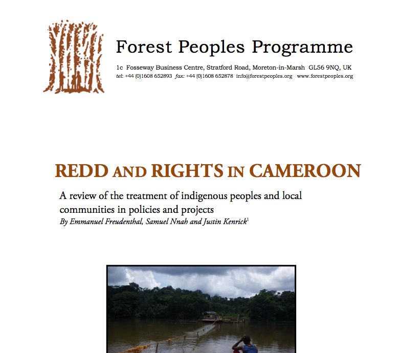 REDD and Rights in Cameroon