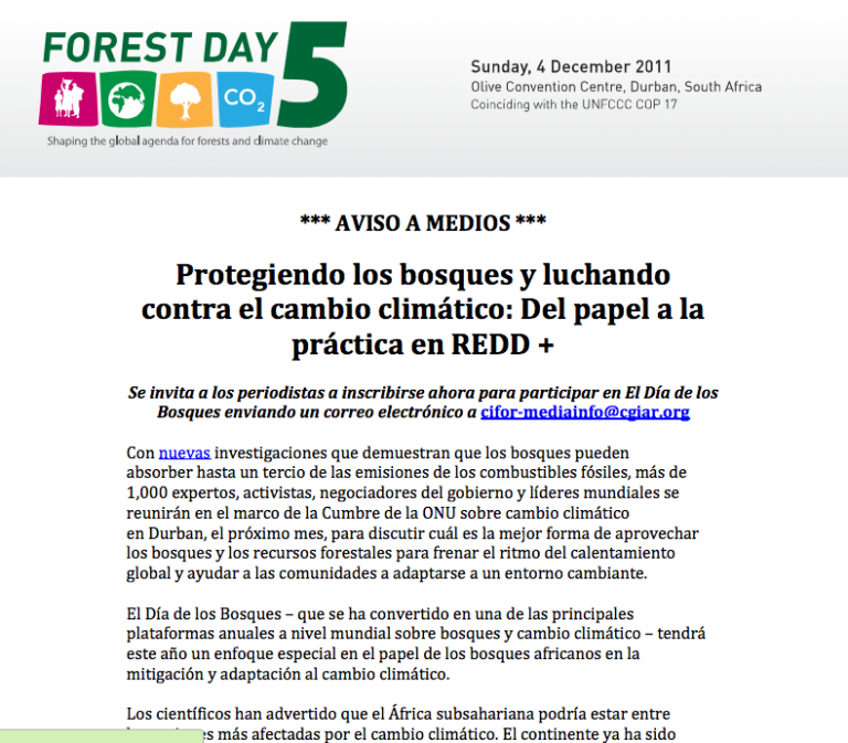 Protegiendo los bosques y luchando contra el cambio climático: del papel a la práctica en REDD +