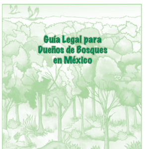 Guía legal para dueños de bosques en México