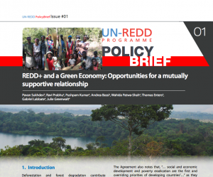 REDD+ and a Green Economy: Opportunities for a mutually supportive relationship