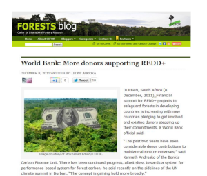 World Bank: More donors supporting REDD+