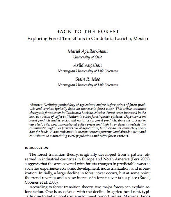 Back to the forest; Exploring forest transitions in Candelaria Loxicha, Mexico