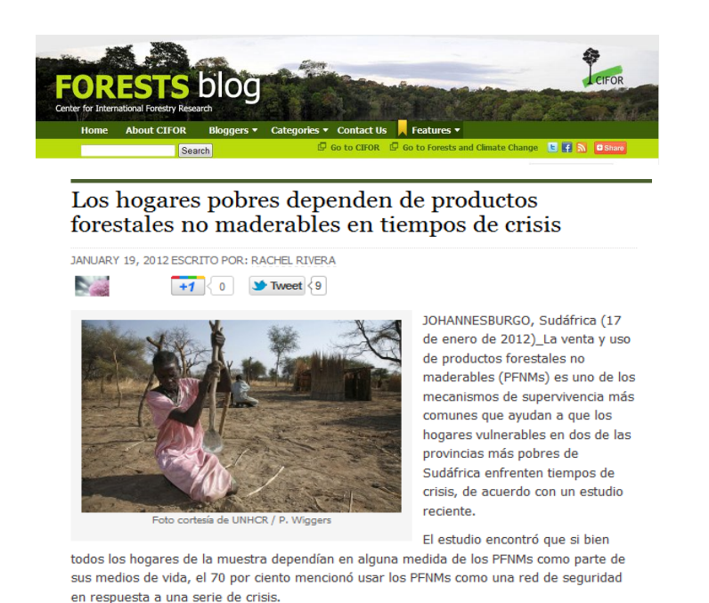 Los hogares pobres dependen de productos forestales no maderables en tiempos de crisis