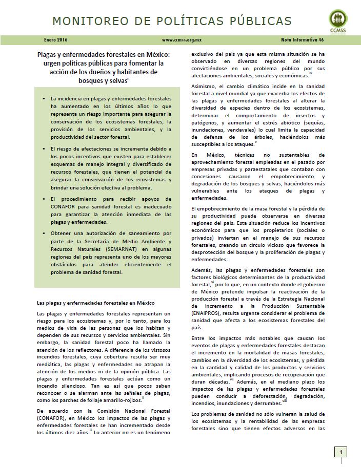 Nota Informativa 46: Plagas y enfermedades forestales en México: urgen políticas públicas para fomentar la acción de los dueños y habitantes de bosques y selvas