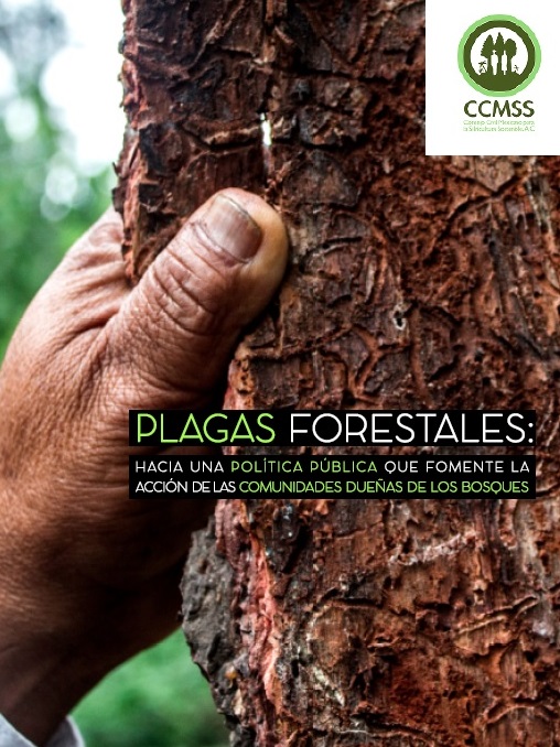 Plagas Forestales: Hacía una política pública que  fomente la acción de las comunidades dueñas de los bosques