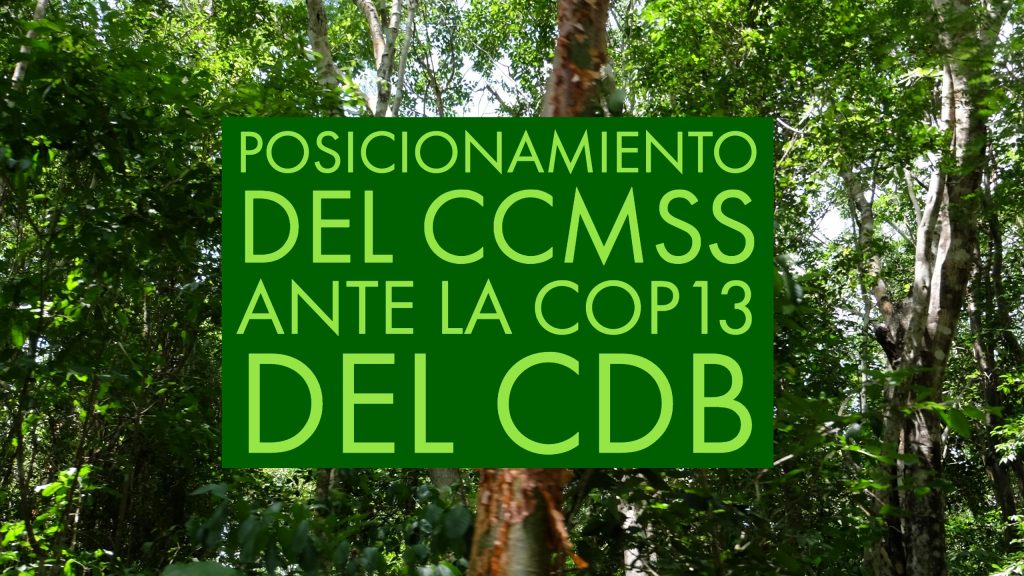 posiconamiento_ccmss_cop13_cdb