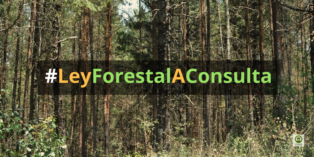 dictamen de Ley Forestal en Senado-Medico bosques