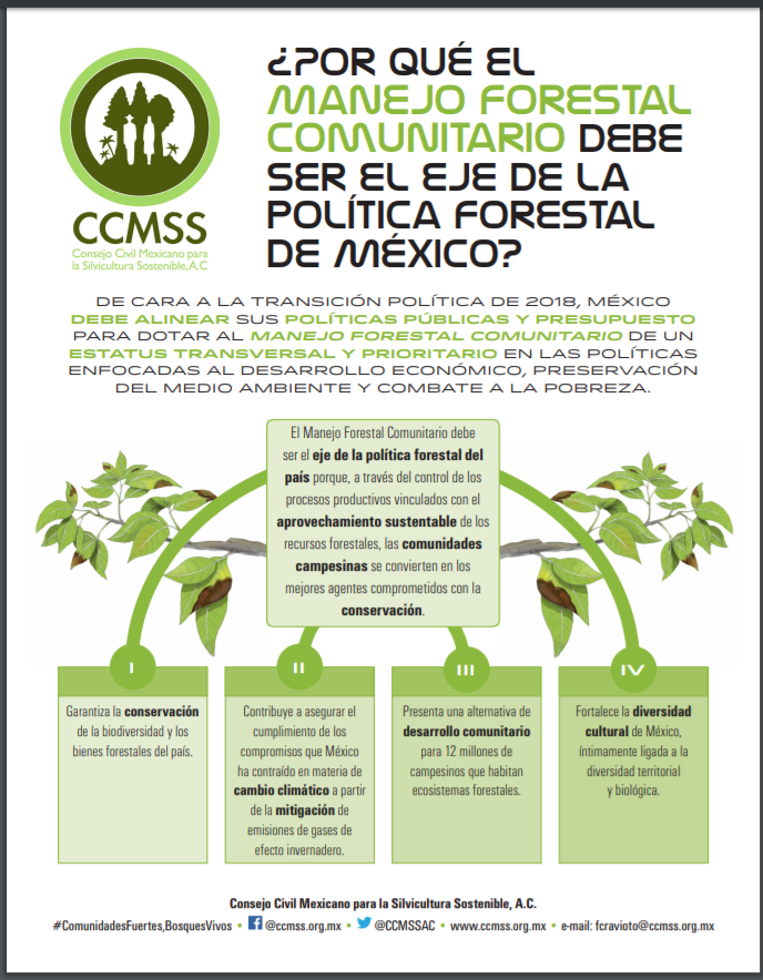¿Por qué el manejo forestal comunitario debe ser el eje de la política forestal de México?