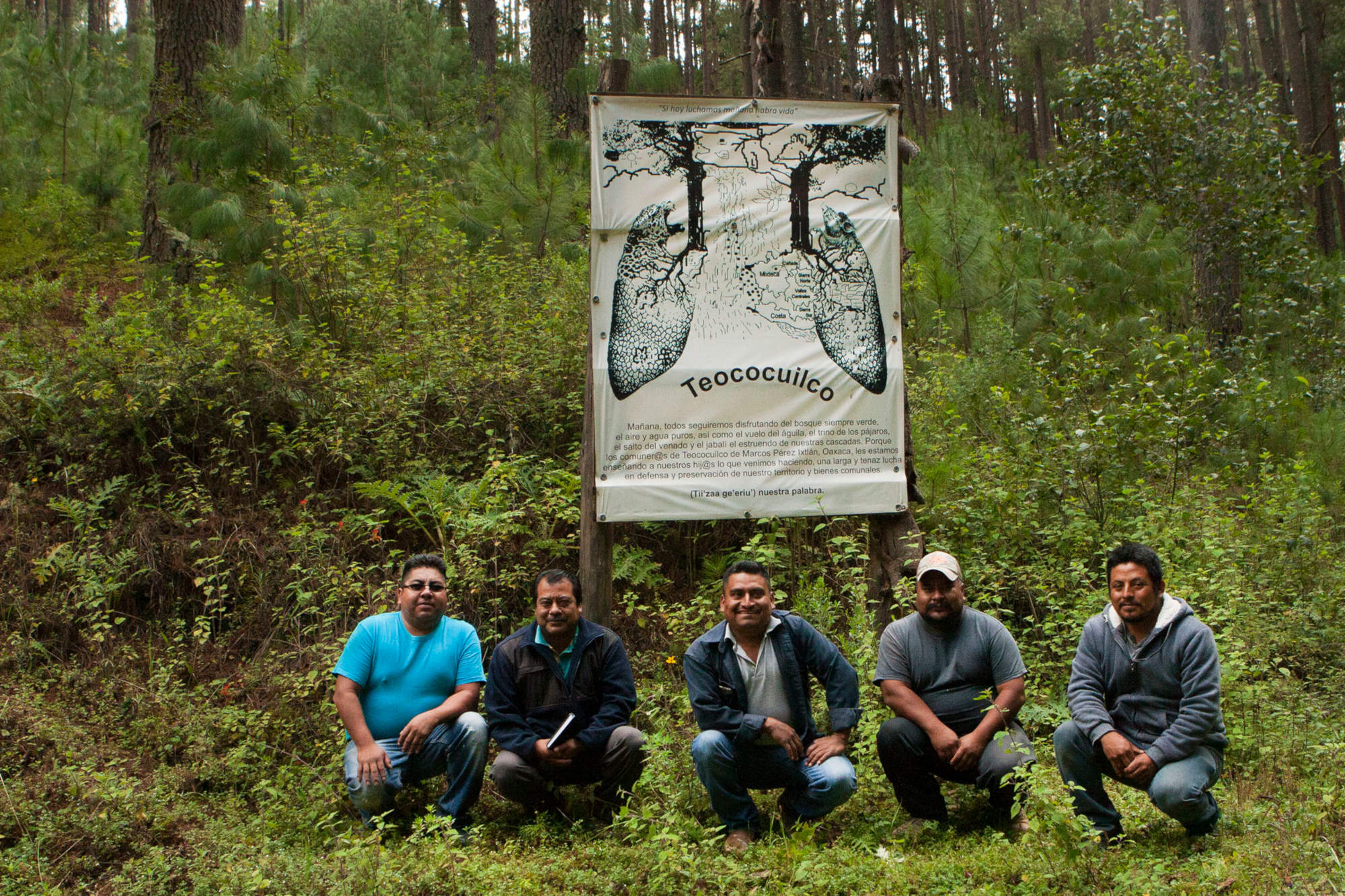 Teococuilco, Oaxaca: cuando la burocracia y la sobrerregulación obstaculizan el manejo forestal ejemplar