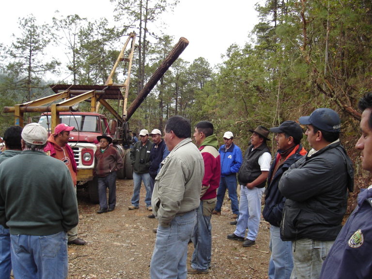 Sierra Juárez: 35 años de soberanía en los bosques - Consejo Civil Mexicano para la Sivilcultura ...