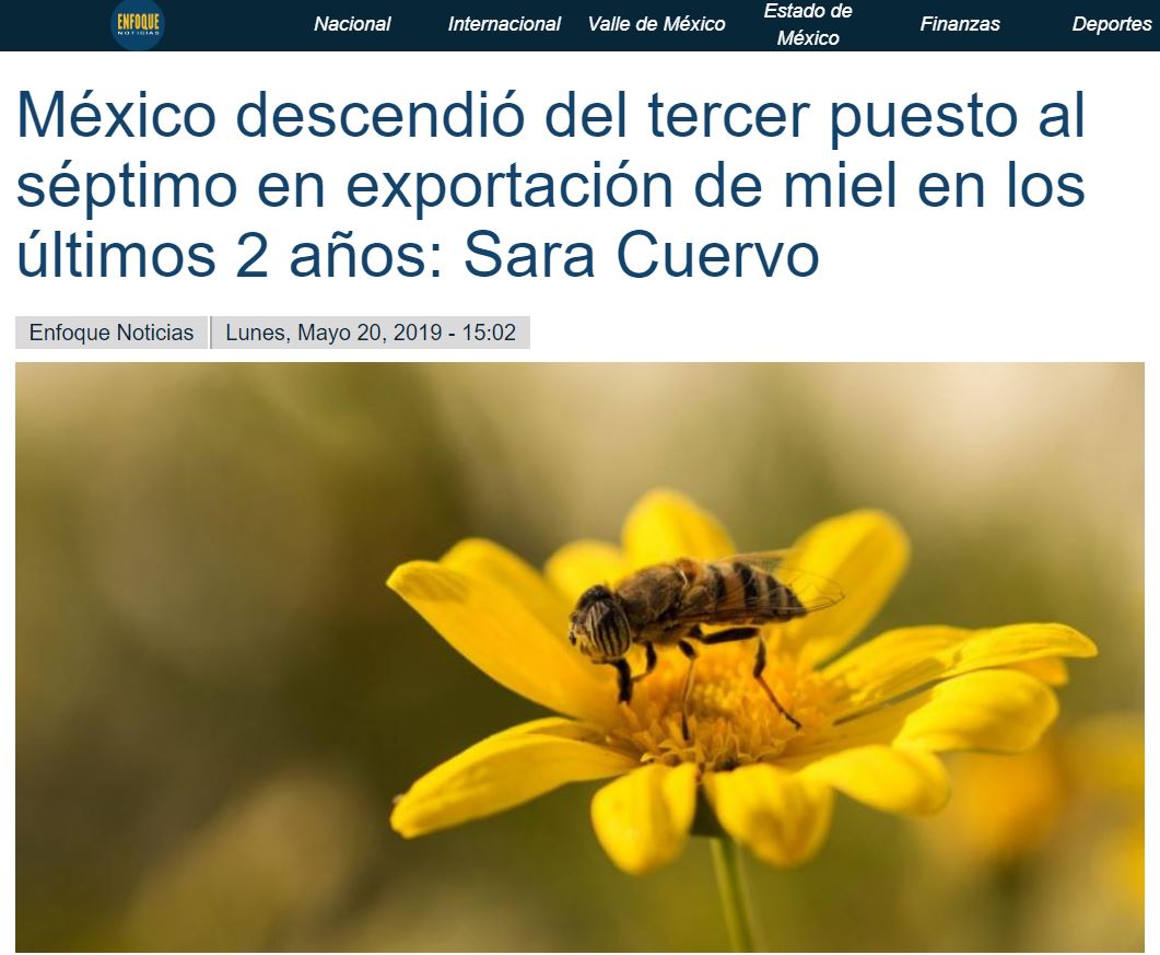 México descendió del tercer puesto al séptimo en exportación de miel en los últimos 2 años: Sara Cuervo