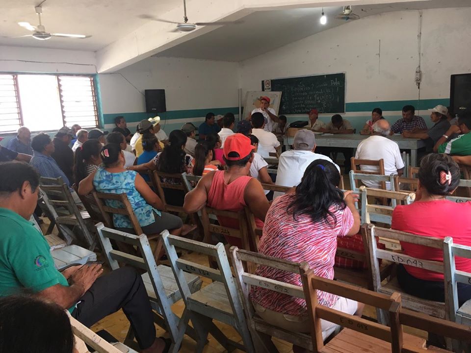Resolución del Tercer Tribunal Colegiado en Cancún, nueva victoria para el Ejido Dziuche, en Quintana Roo