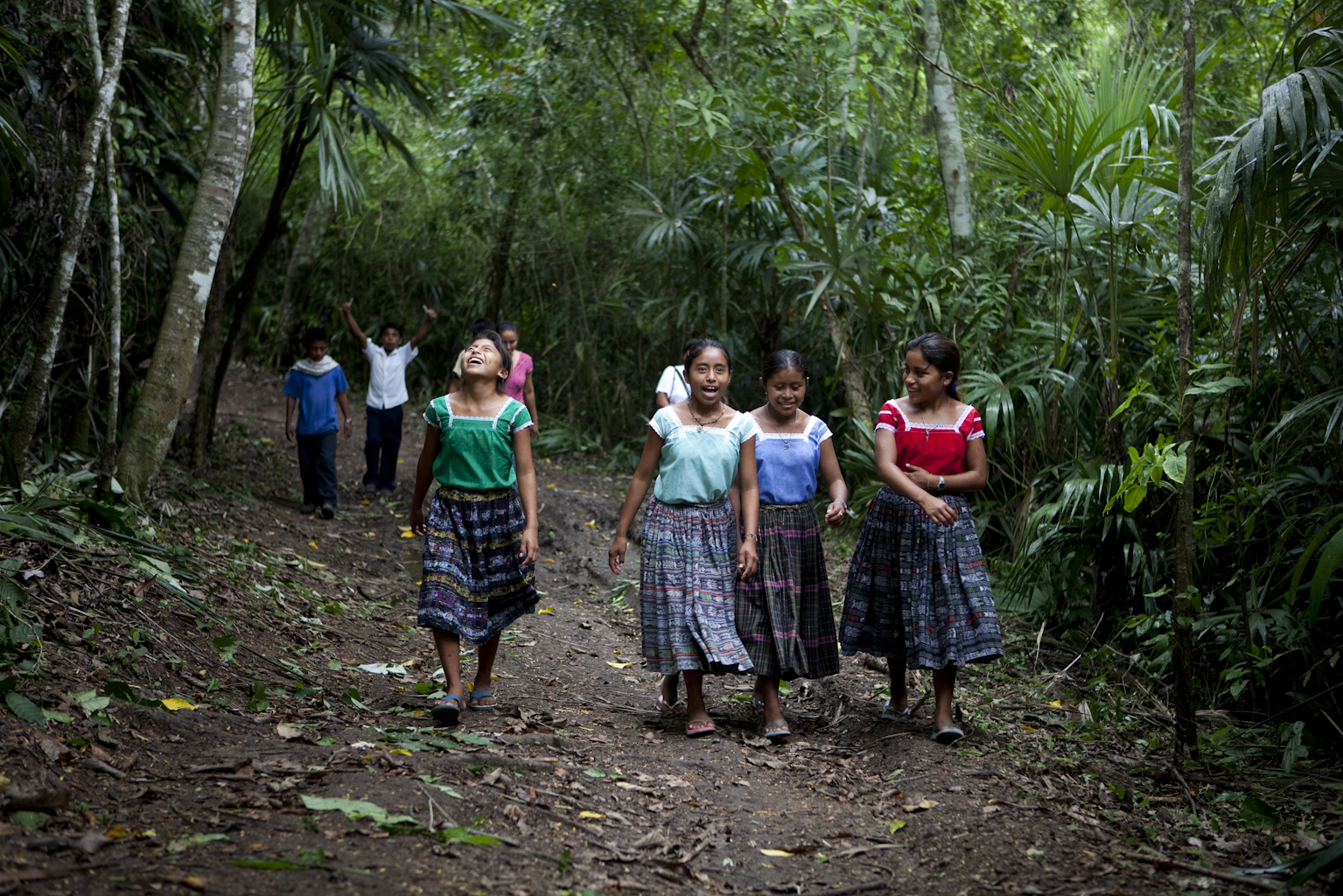 Empresas forestales comunitarias: 25 años manejando y conservando la Reserva de la Biosfera Maya