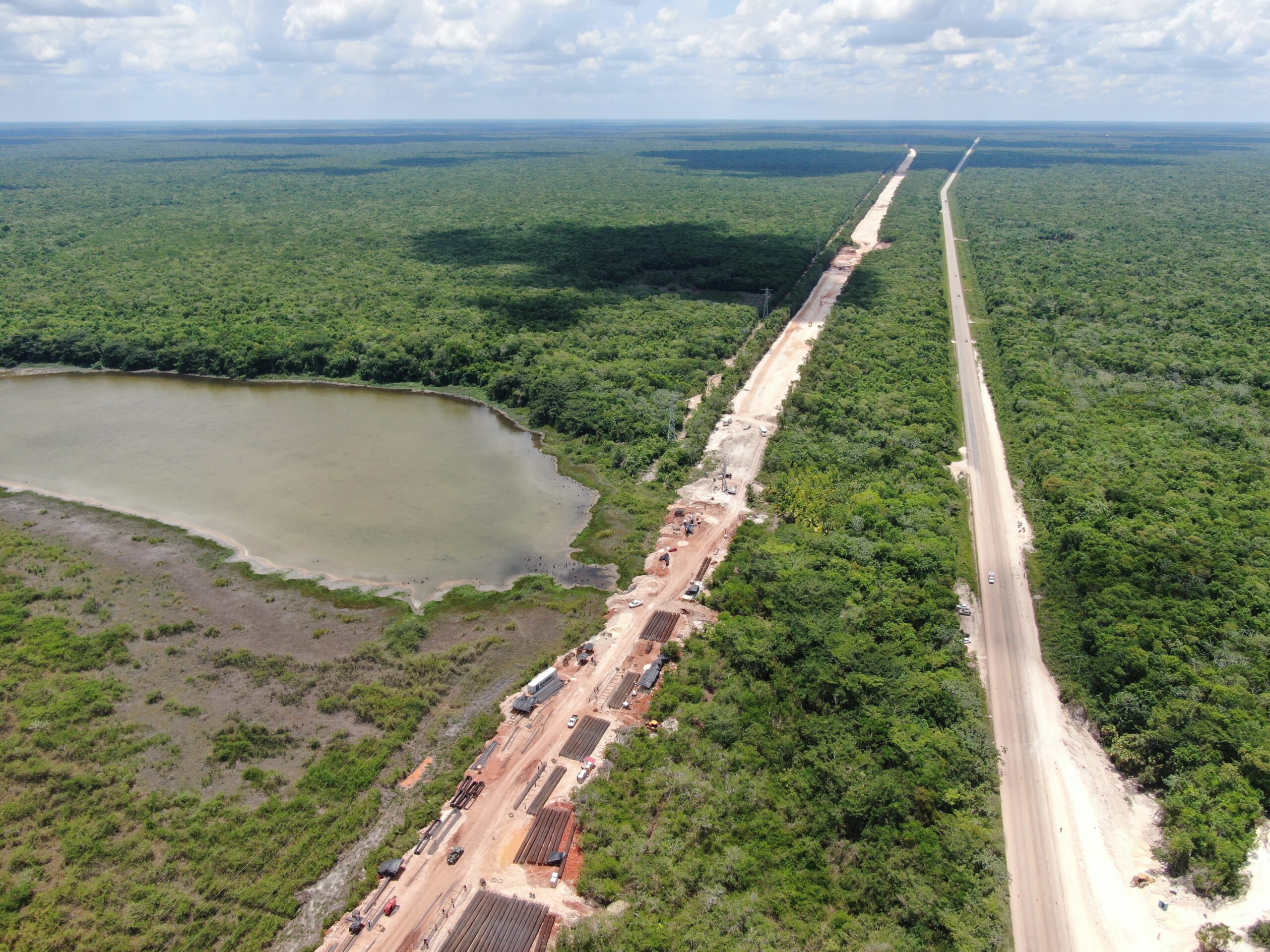 Deforestación, opacidad e ilegalidad caracterizan al proyecto Tren Maya