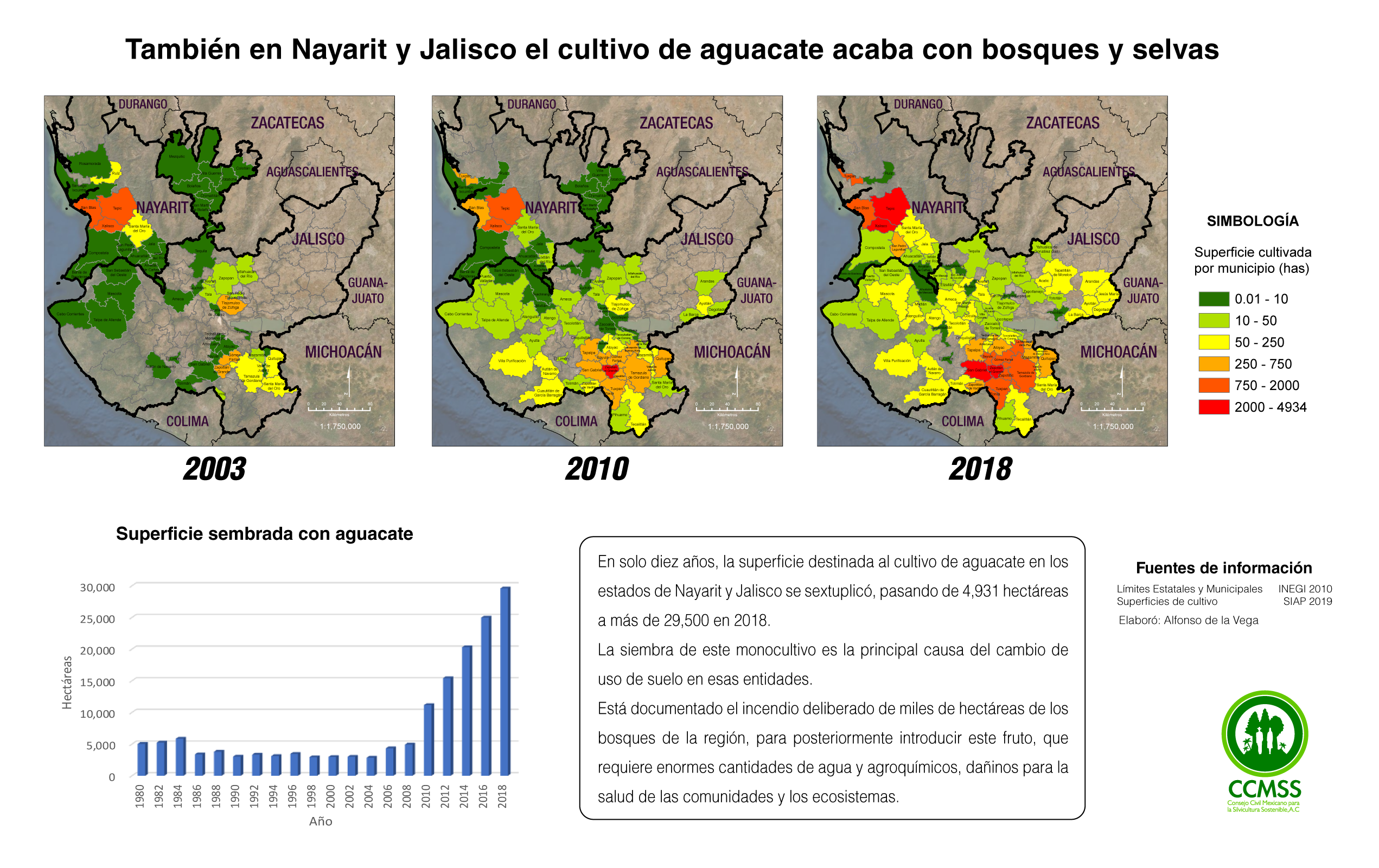 Avanzan las plantaciones de aguacate en Nayarit y Jalisco