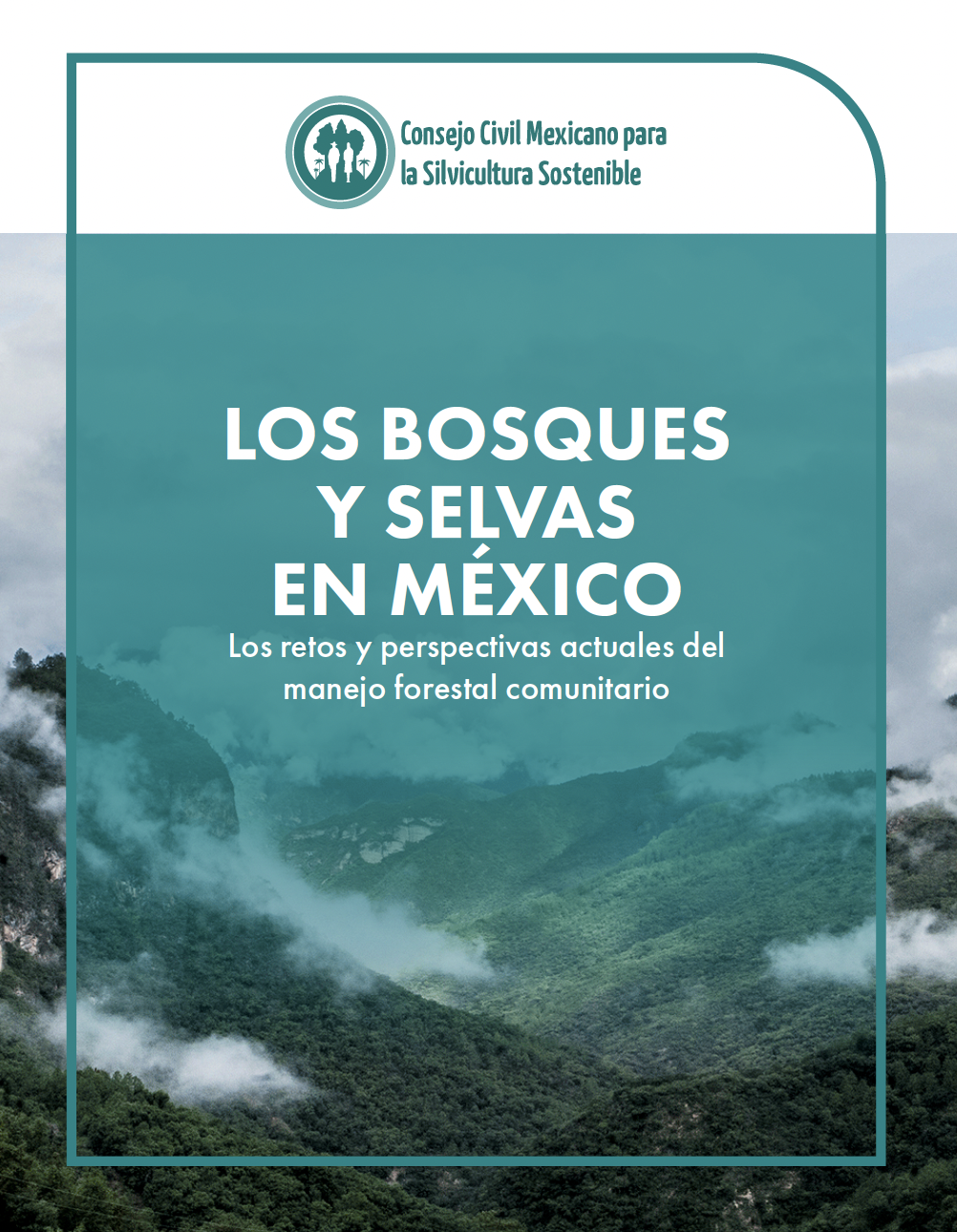 Los bosques y selvas en México. Los retos y perspectivas actuales del manejo forestal comunitario