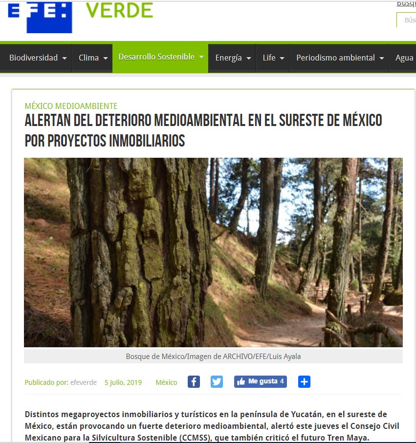 Alertan del deterioro medioambiental en el sureste de México por proyectos inmobiliarios