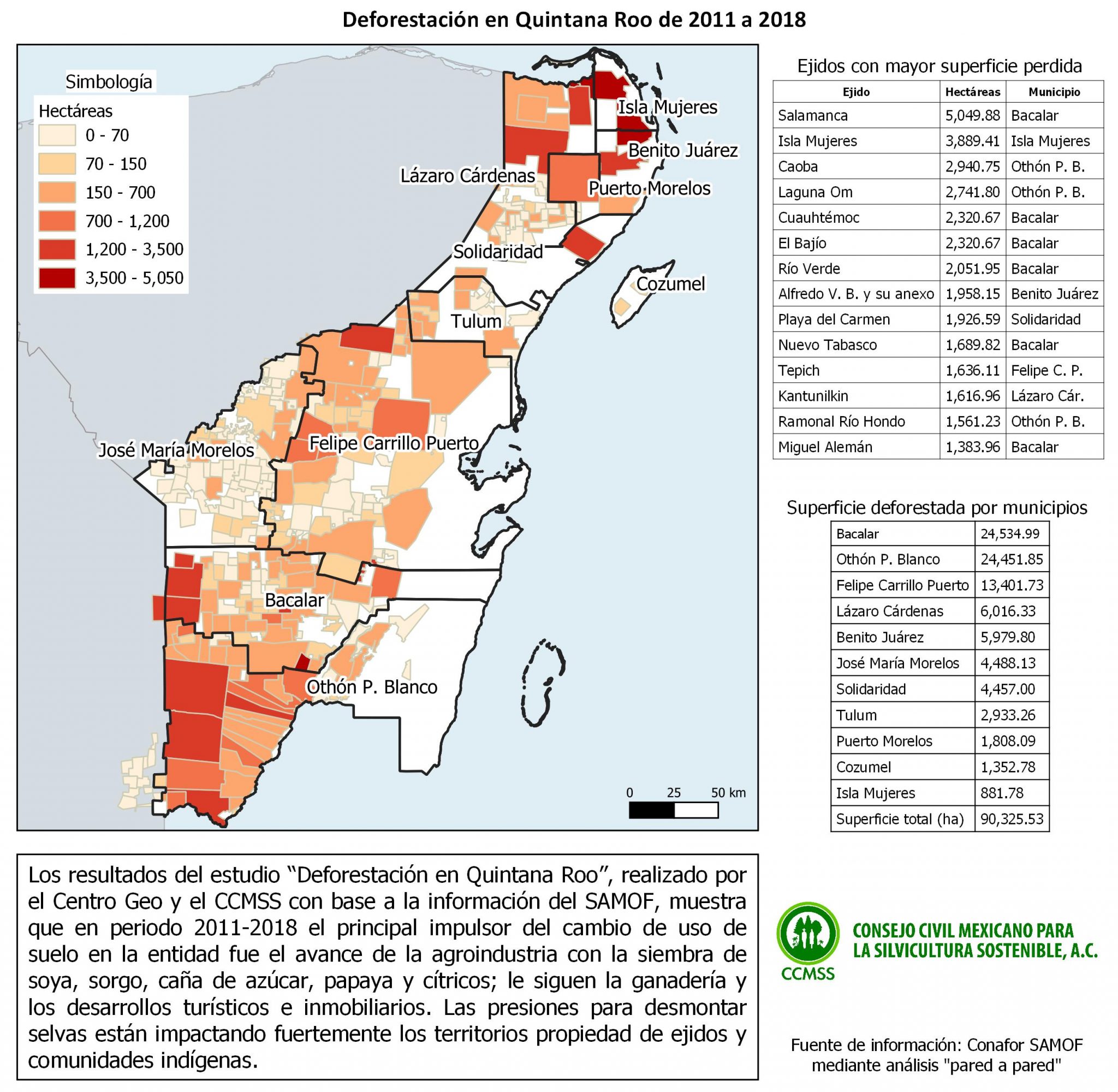 Agroindustria, principal impulsor de la deforestaci\u00f3n en Quintana Roo - Consejo Civil Mexicano ...