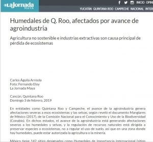 Humedales de Q. Roo, afectados por avance de agroindustria