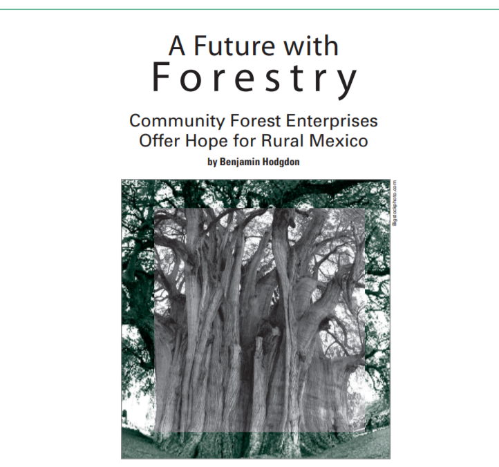 A Future With Forestry: Community Forest Enterprises Offer Hope for Rural Mexico