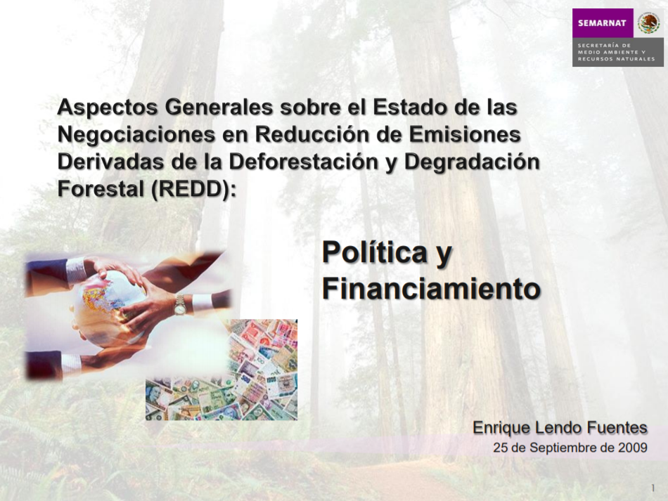 Aspectos Generales Sobre El Estado De las Negociaciones En Reducción de Emiciones Derivadas de la Deforestación y Degradación Forestal (REDD): Política y Financiamiento