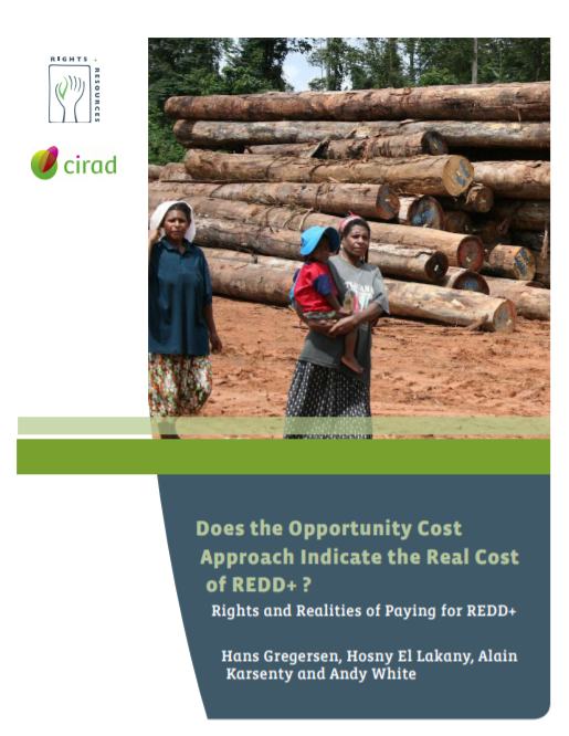 Does the Opportunity Cost Approach Indicate the Real Cost of REDD+?