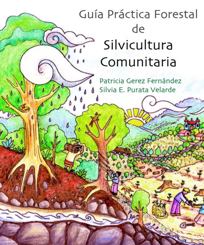 Guía Práctica Forestal de Silvicultura Comunitaria
