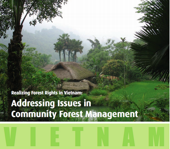 Realizing Forest Rights in Vietnam: Addressing Issues in Community Forest Management