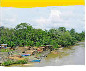Gobernanza forestal y REDD+; Desafíos para las políticas y mercados en América Latina