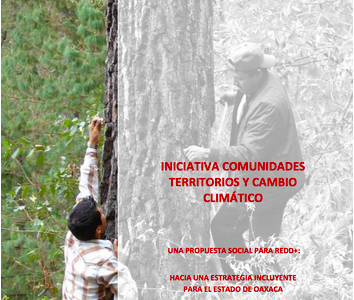 Una propuesta social para REDD+: hacia una estrategia incluyente para el estado de Oaxaca