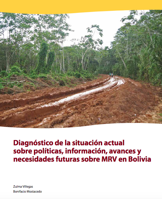Diagnóstico de la situación actual sobre políticas, información, avances y necesidades futuras sobre MRV en Bolivia
