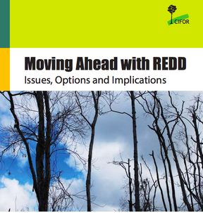 Moving ahead with REDD, issues, options and implications