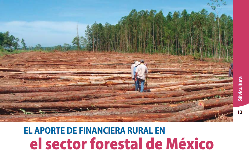 El aporte de financiera rural en el sector forestal de México