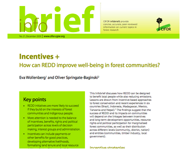 Incentives + How can REDD improve well-being in forest communities?