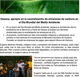 Oaxaca, ejemplo en la neutralización de emisiones de carbono en el Día Mundial del Medio Ambiente