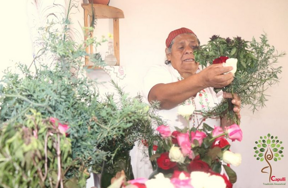 Mujeres de Capulálpam rescatan la tradición ancestral herbolaria