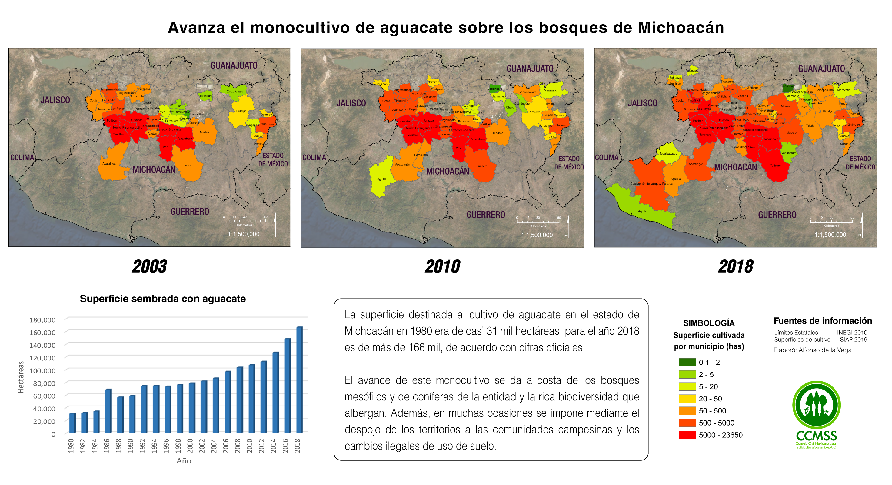 Avanza el monocultivo de aguacate sobre los bosques de Michoacán