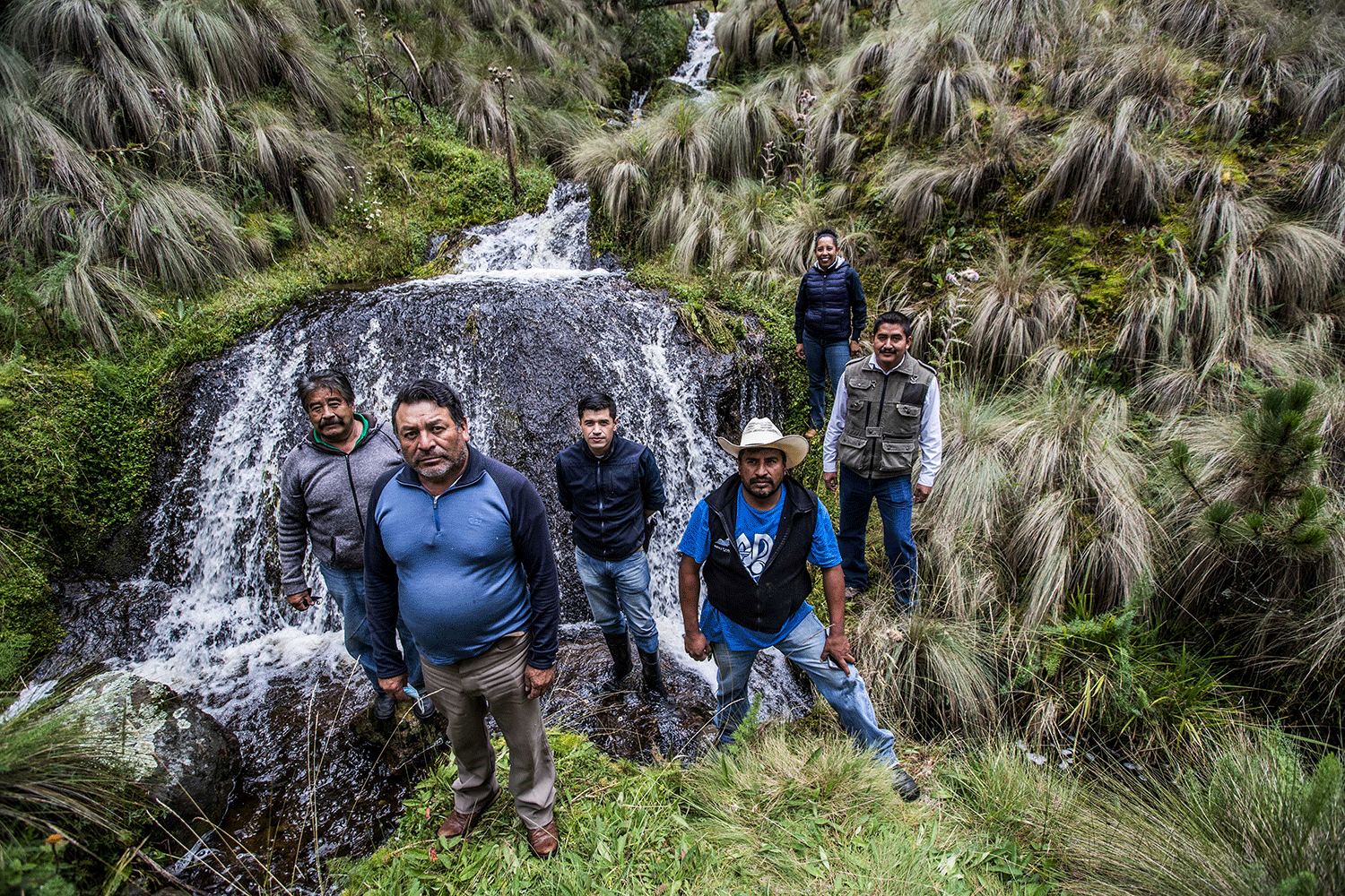La acción colectiva para el manejo y cuidado de los bosques: el caso del ejido Tequexquinahuac