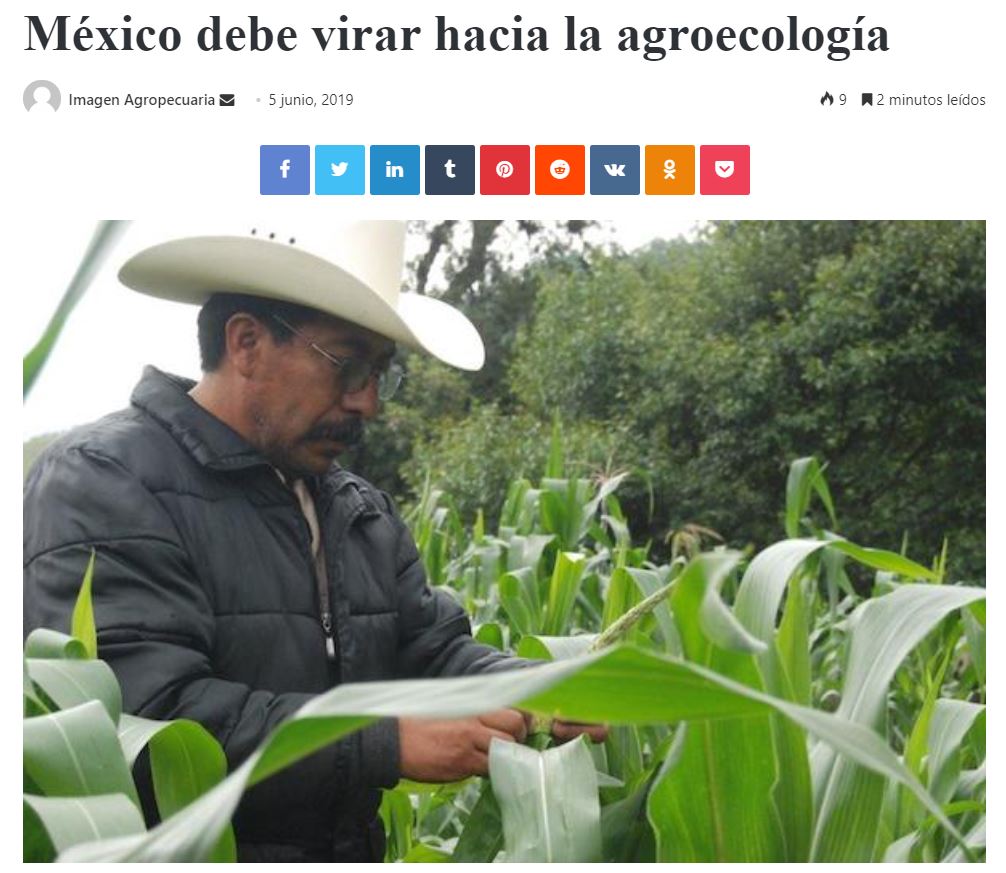 México Debe Virar Hacia La Agroecología - Consejo Civil Mexicano Para ...