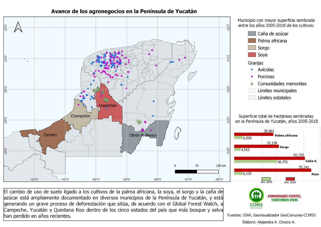 La expansión de monocultivos en la Península de Yucatán
