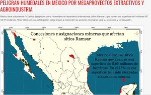 Peligran humedales en México por megaproyectos extractivos y agroindustria