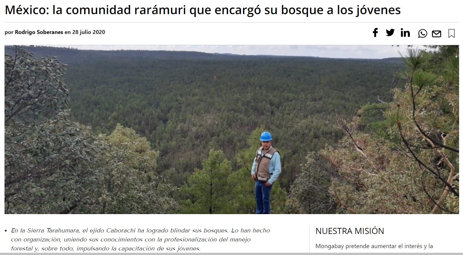 México: la comunidad rarámuri que encargó su bosque a los jóvenes