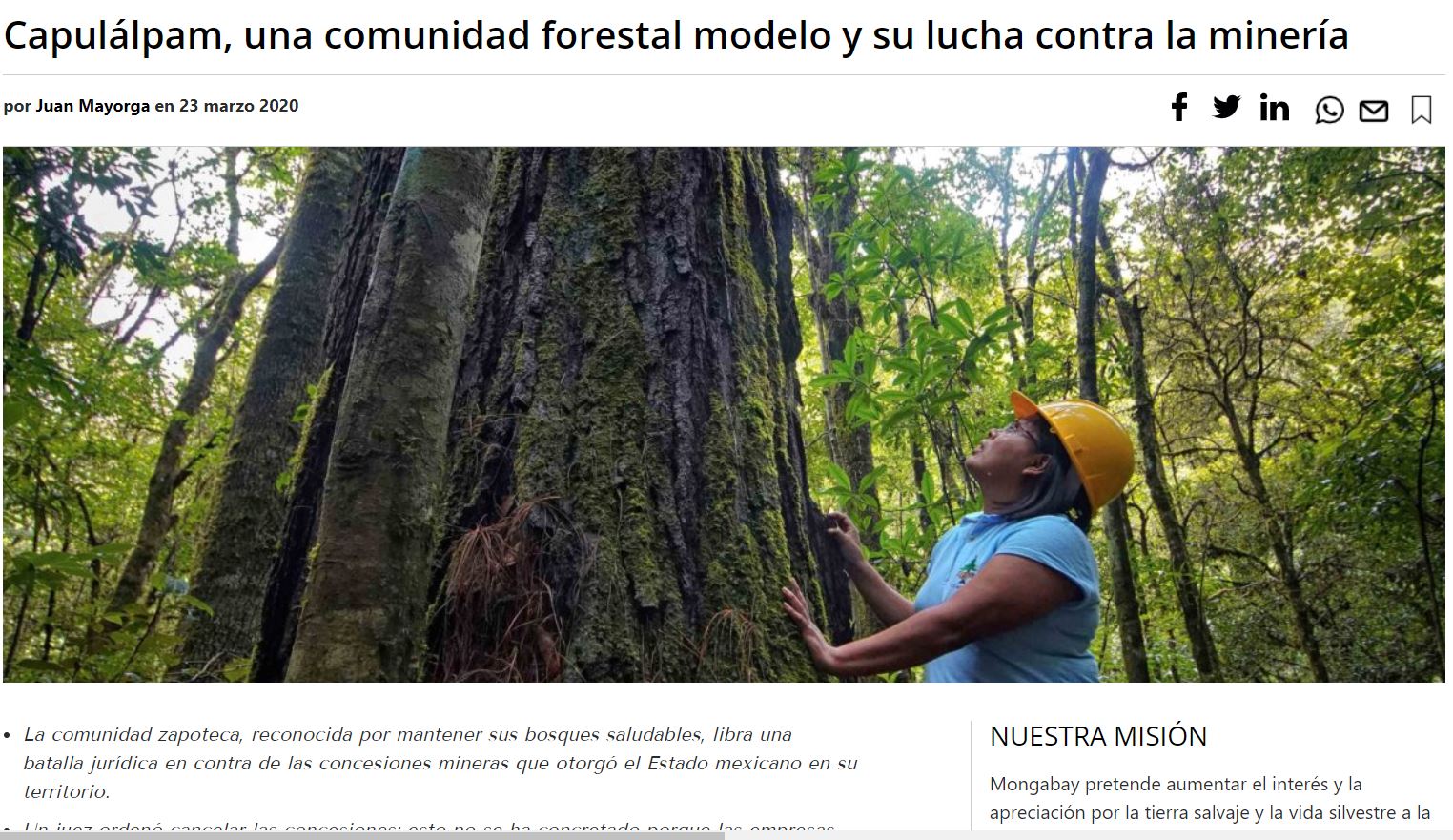 Capulálpam, una comunidad forestal modelo y su lucha contra la minería