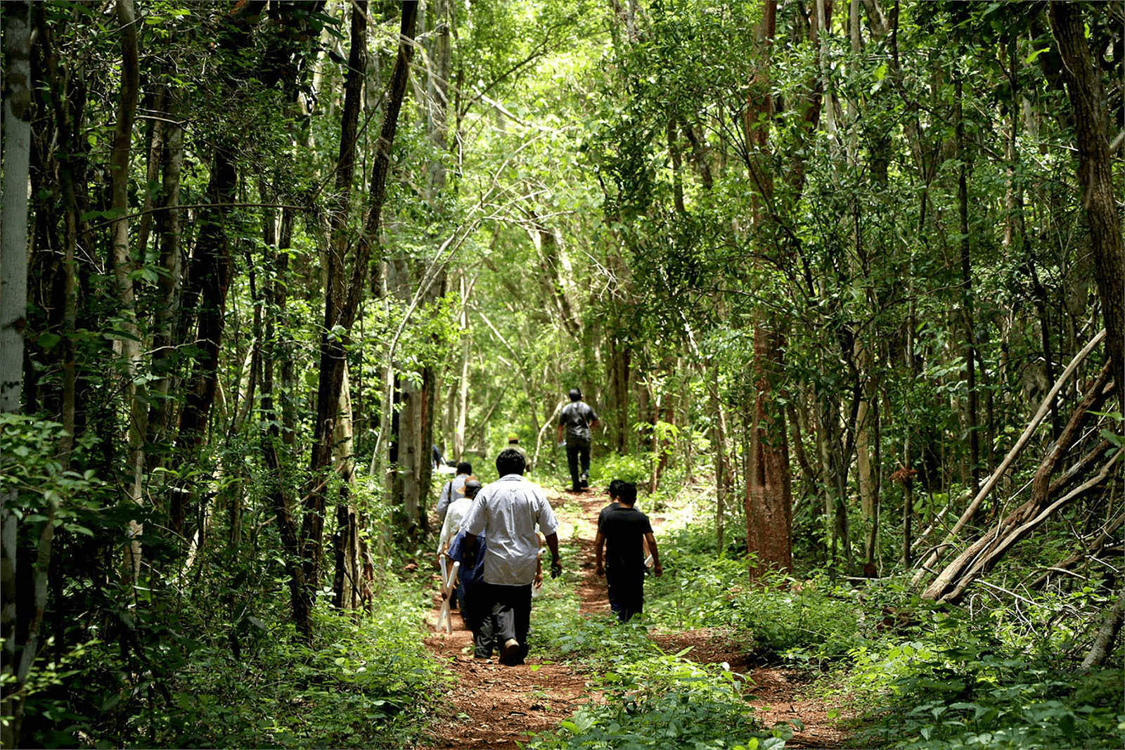 Las empresas forestales comunitarias de México: vigencia, actualidad e importancia de la gestión de bienes comunes