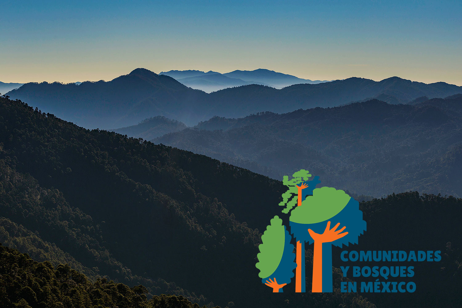 Presenta CCMSS el sitio web Comunidades y Bosques en México, que sistematiza, ordena y hace pública la información relevante más reciente sobre manejo forestal comunitario